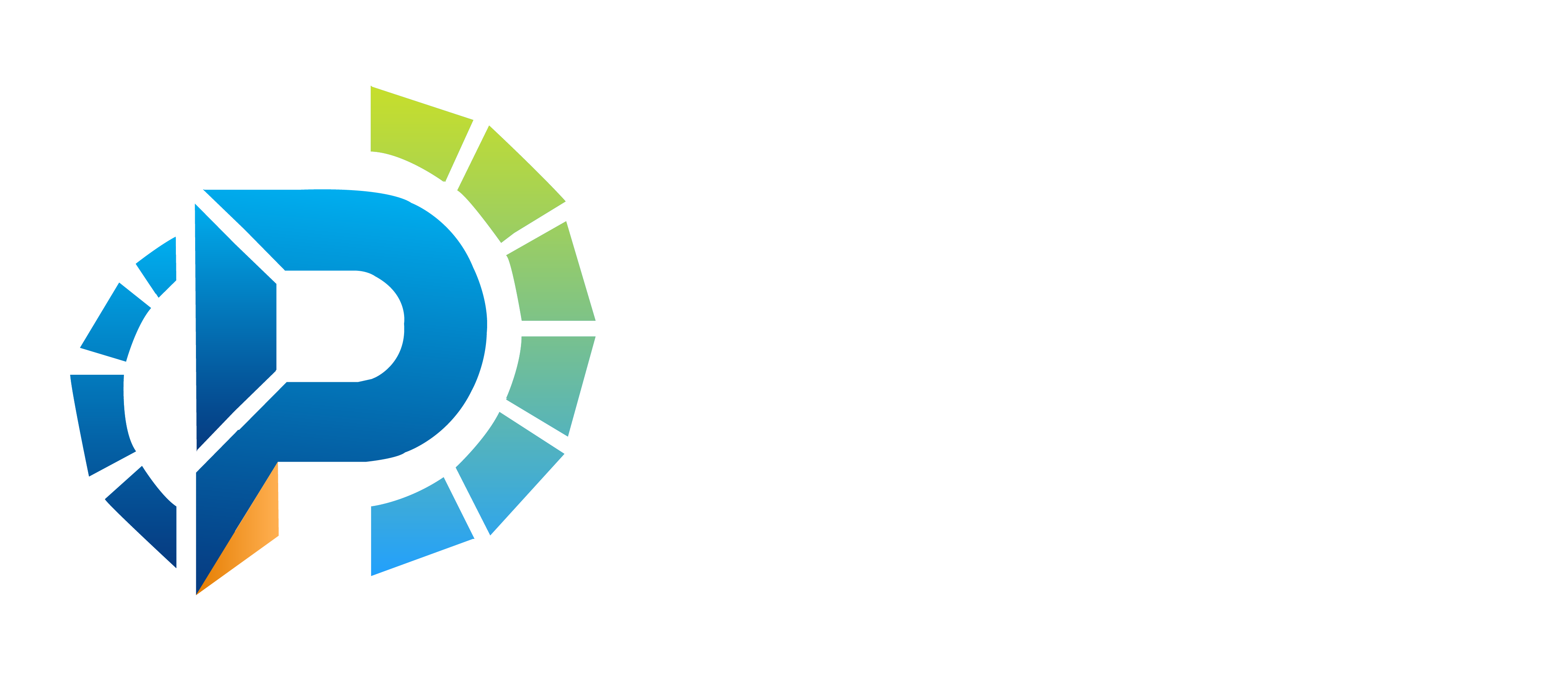 Pinnacle Virtual IT Solutions logo